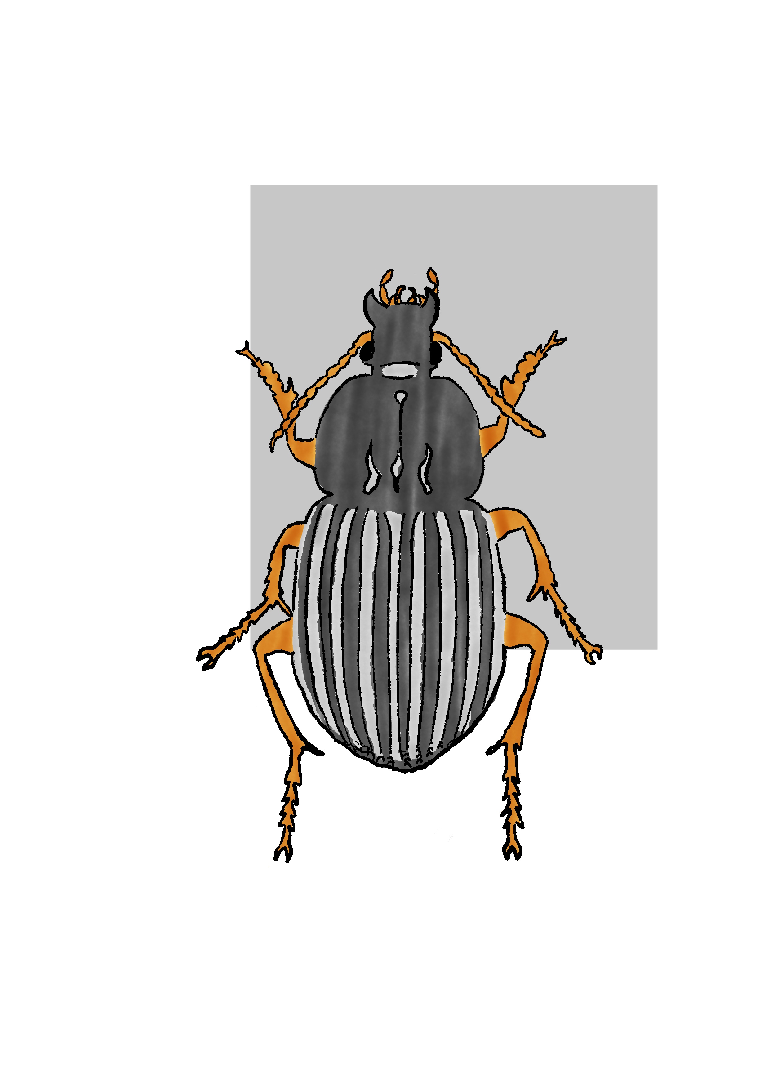 Marusya